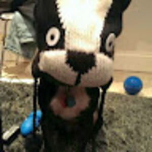 Meet your Posher, Doan